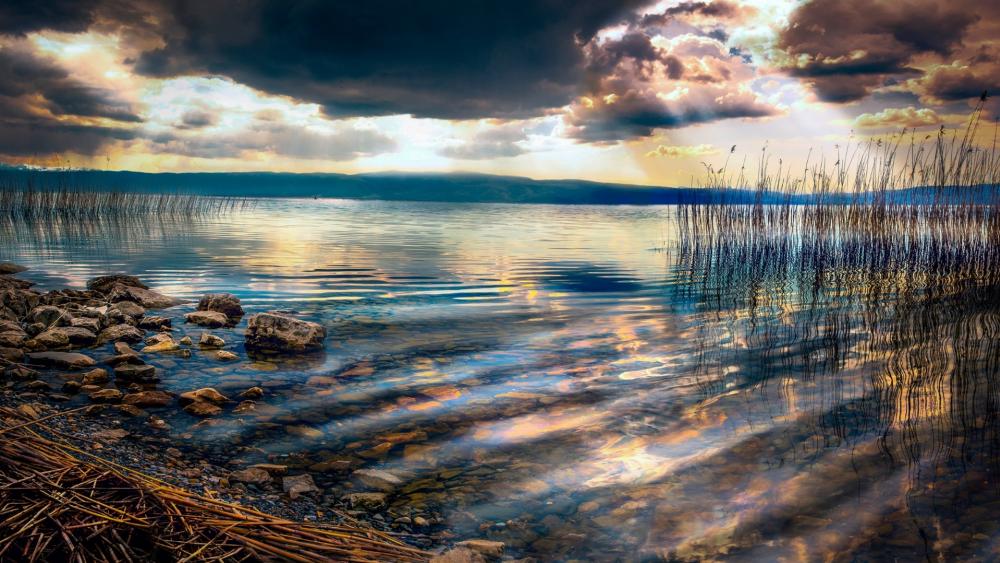 Serene Reflections on a Tranquil Lake Surface wallpaper