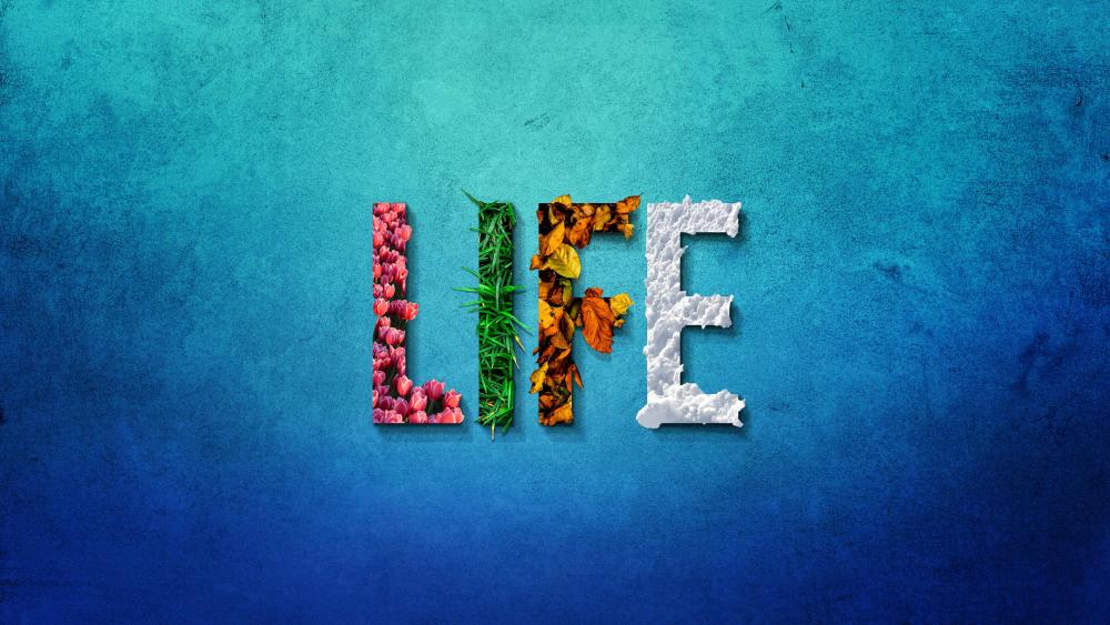 Wallpaper from life category