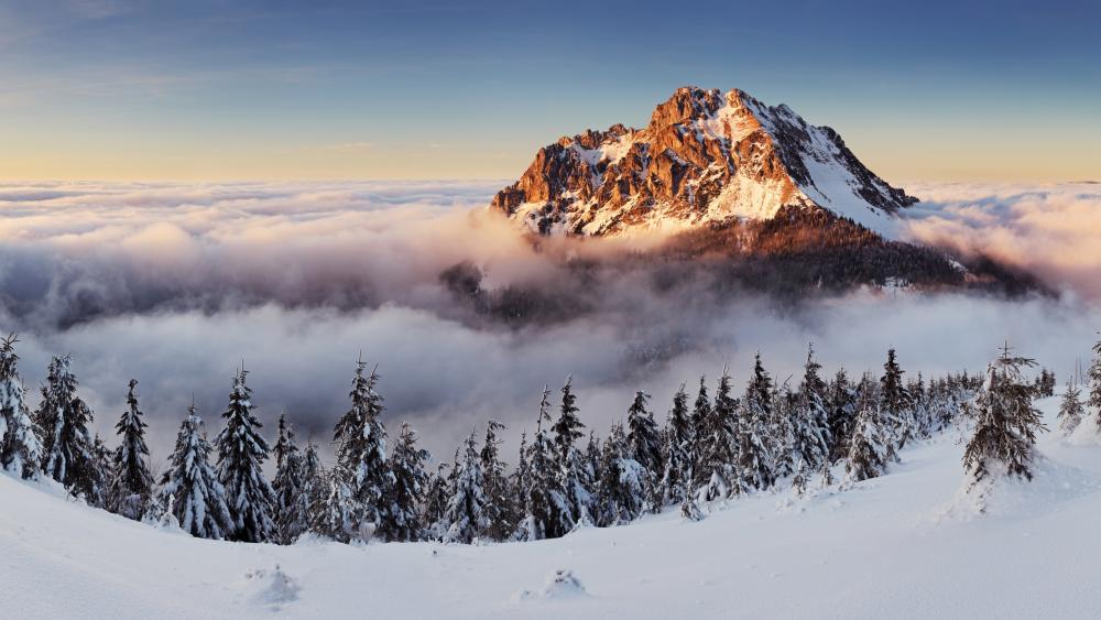 Majestic Winter Mountain Landscape wallpaper