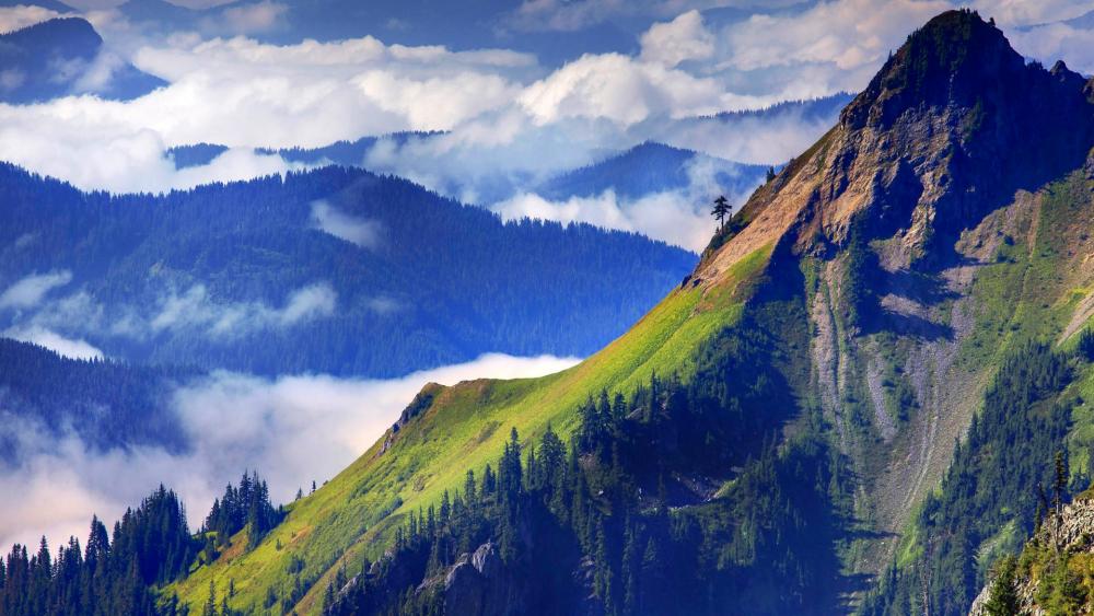 Breathtaking Mountain Views Above the Clouds wallpaper