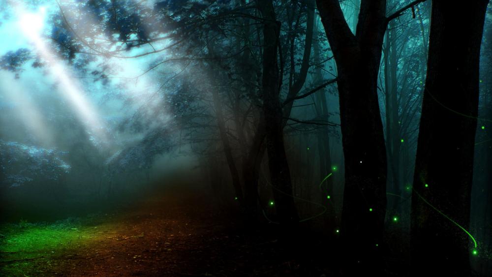 Mystical Forest with Glowing Lights and Sunbeams wallpaper
