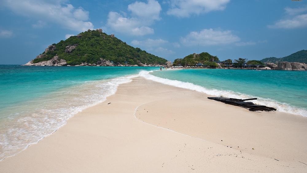 Serene Beach Paradise for Nature Lovers wallpaper