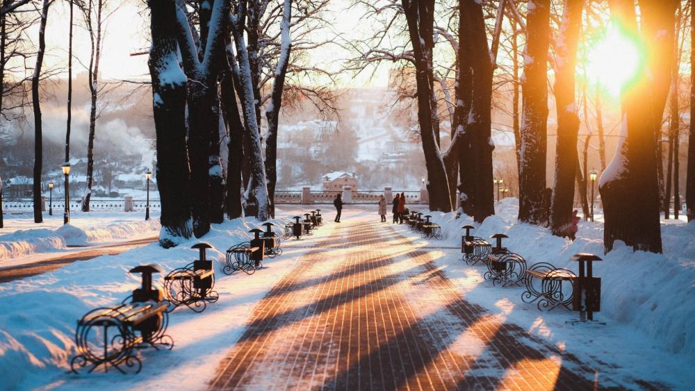 Winter Serenity in a Snowy Park wallpaper