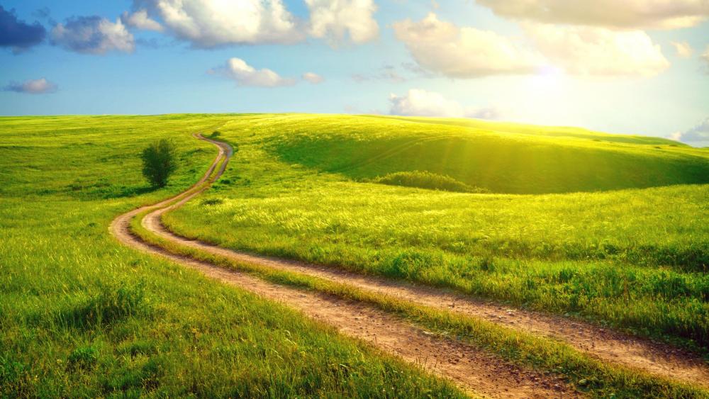 Wallpaper from nature category