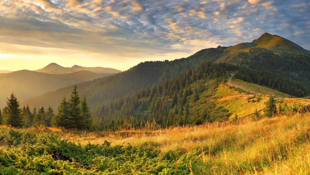 Majestic Mountain Serenity wallpaper