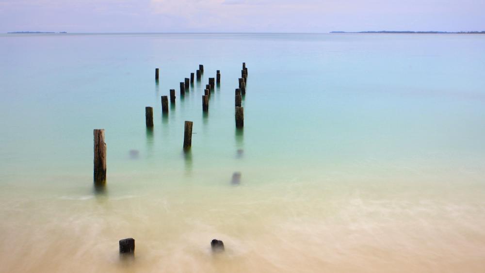 Serenity at the Water's Edge wallpaper