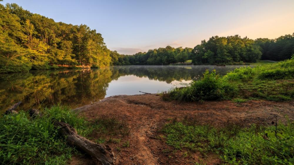 Wallpaper from nature category