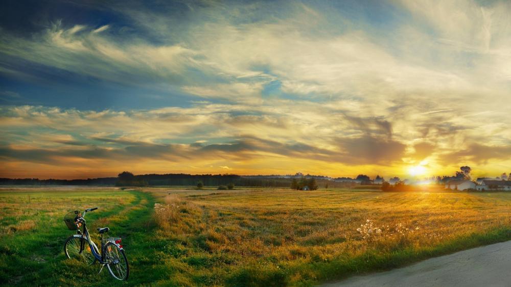 Tranquil Evening in Nature wallpaper