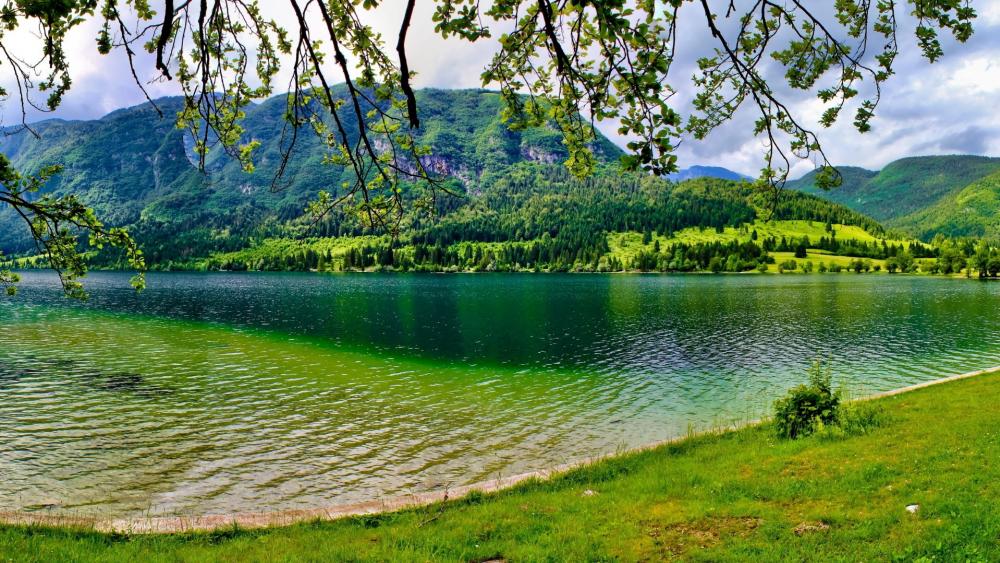 Serene Lakeside Retreat Amidst Lush Greenery wallpaper