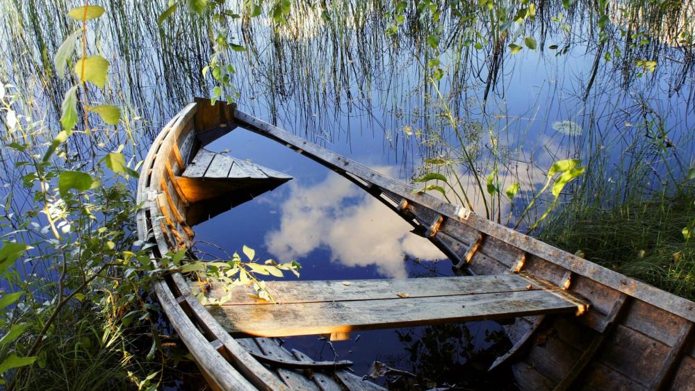 Tranquil Reflection on Calm Waters wallpaper