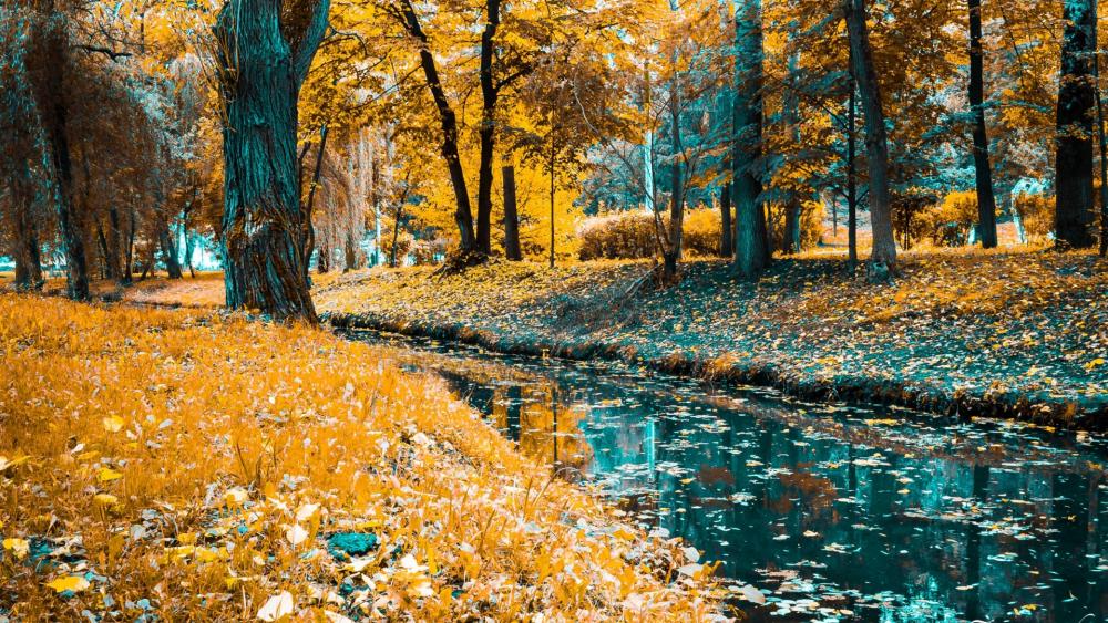 Autumn Serenity in Vibrant Nature wallpaper