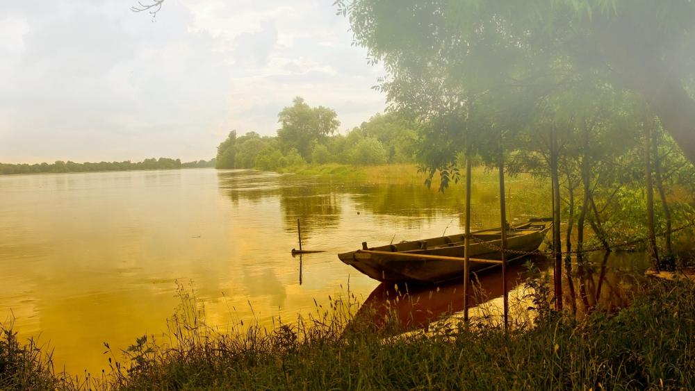 Serene River Reflections in Nature's Embrace wallpaper