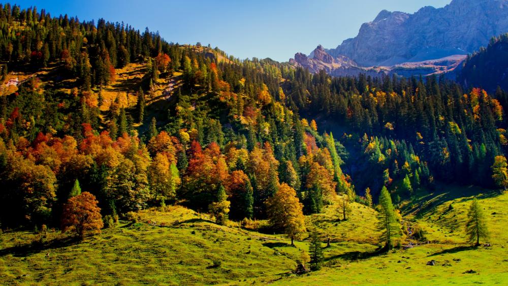 Wallpaper from nature category