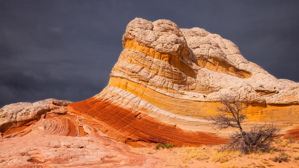 Majestic Stripes of Nature's Canvas wallpaper