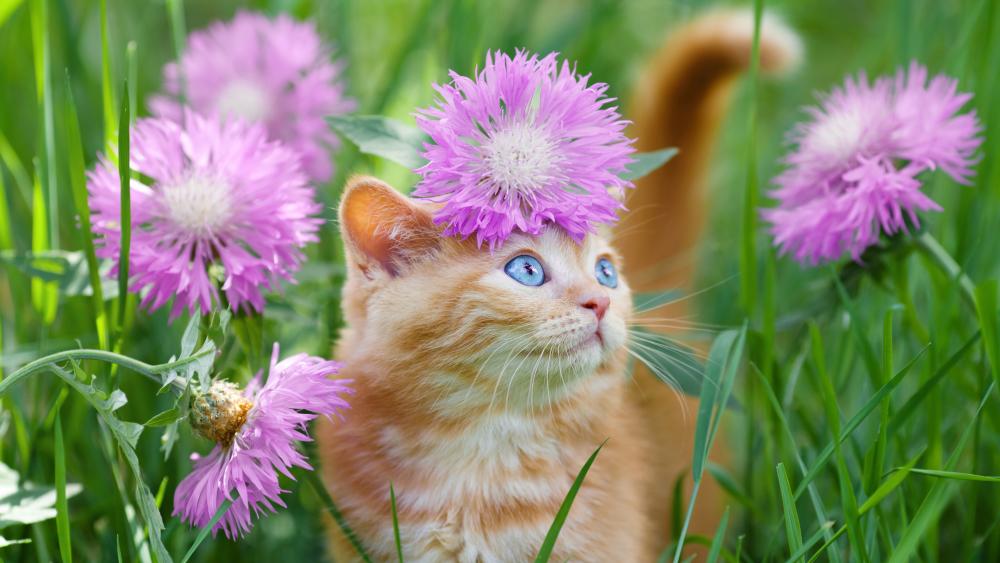 Wallpaper from animals category