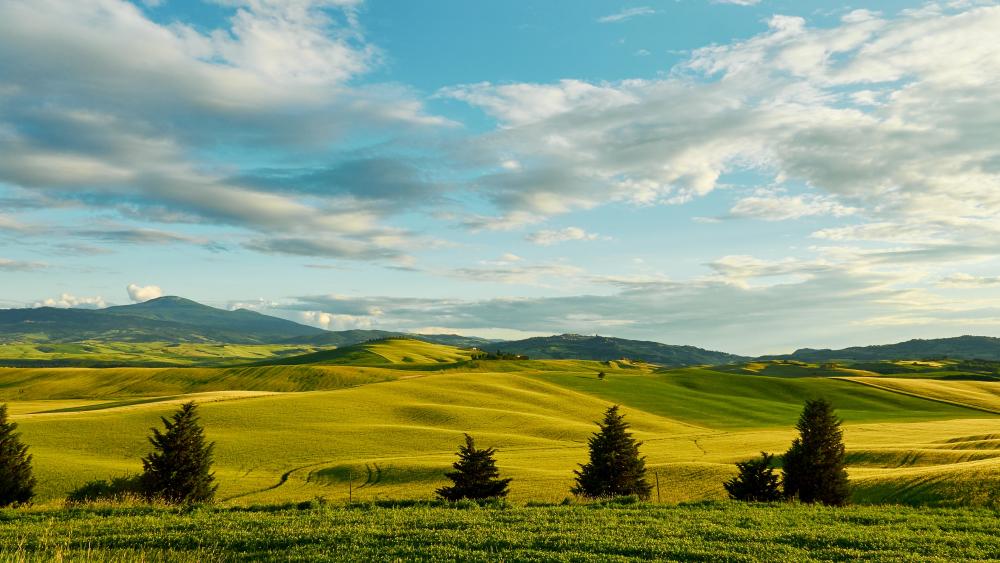 Wallpaper from nature category