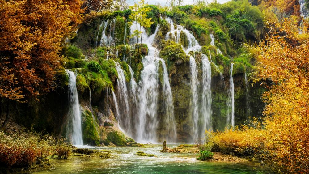 Wallpaper from nature category