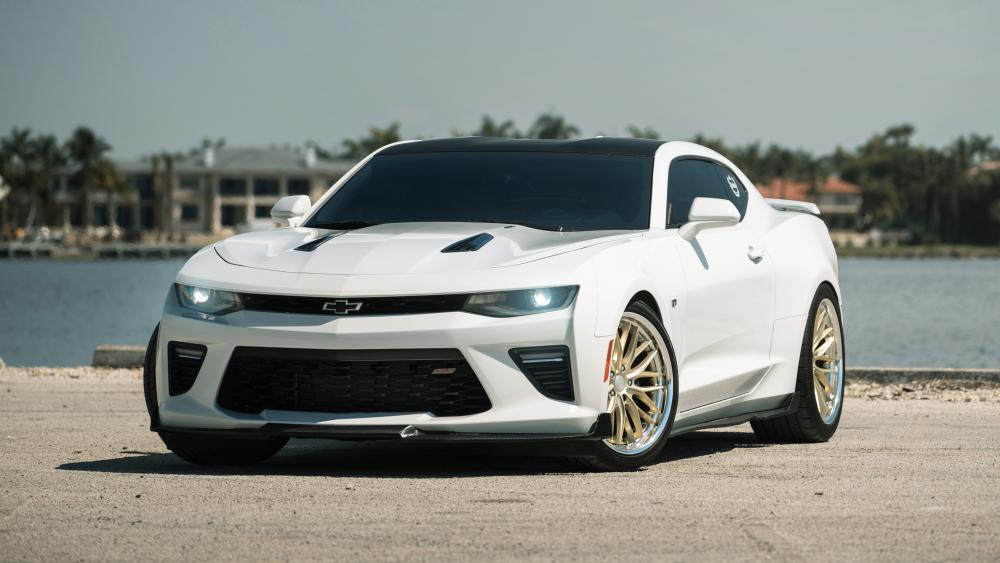 Wallpaper from car category