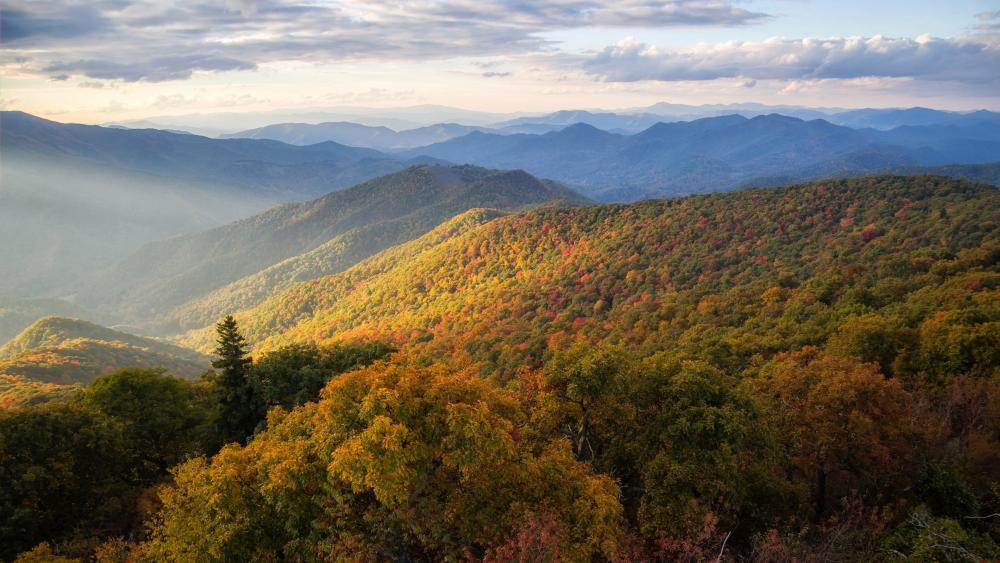 Majestic Mountain View in Autumn Colors wallpaper