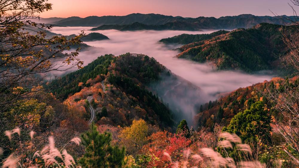 Autumn Mists Over Mountain Valleys wallpaper