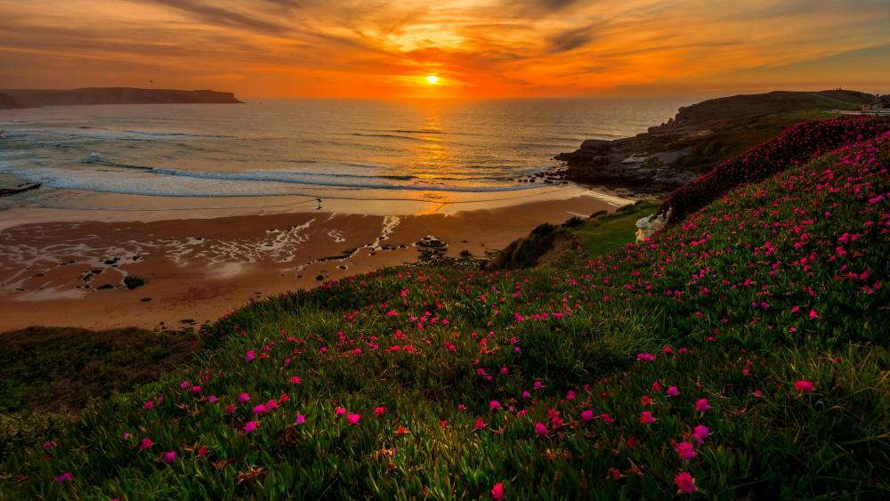 Vibrant Coastal Sunset with Flowers wallpaper