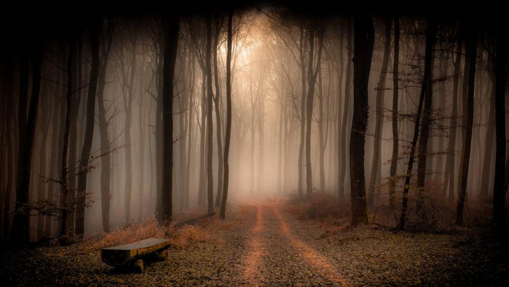 Wallpaper from nature category