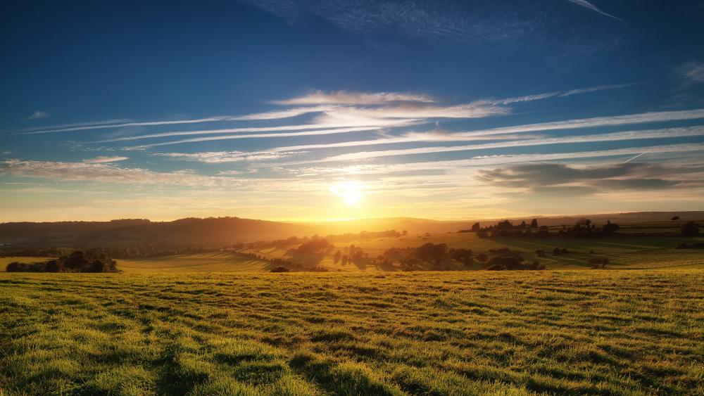 Golden Horizon at Dusk wallpaper