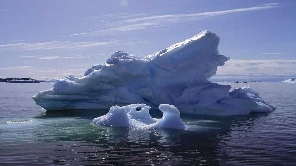 Majestic Icebergs in Calm Waters wallpaper