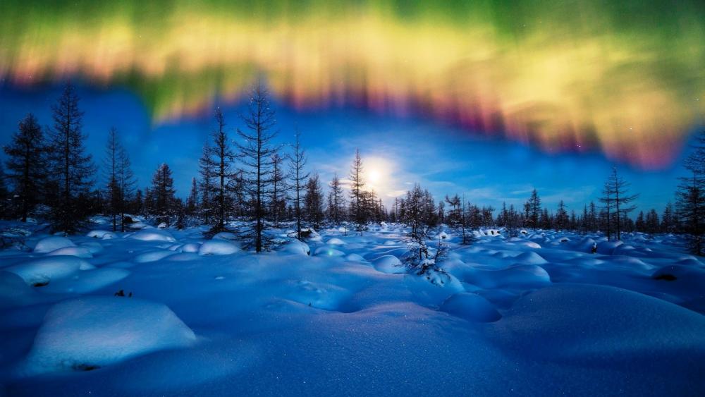 Dancing Lights Over Winter Landscape wallpaper