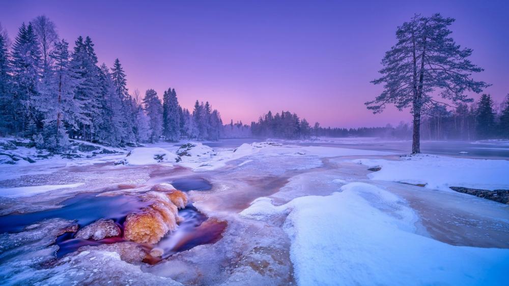 Winter Serenity in a Frozen Landscape wallpaper