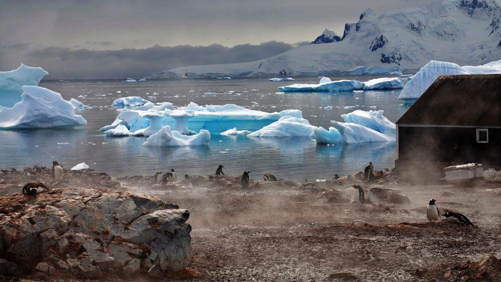 Majestic Antarctic Landscape with Penguins and Icebergs wallpaper
