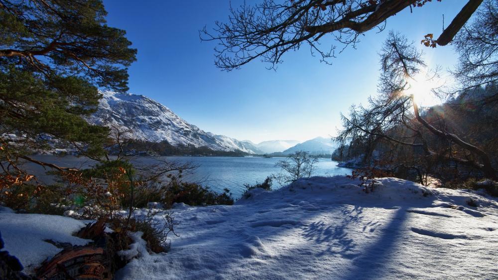 Wallpaper from nature category