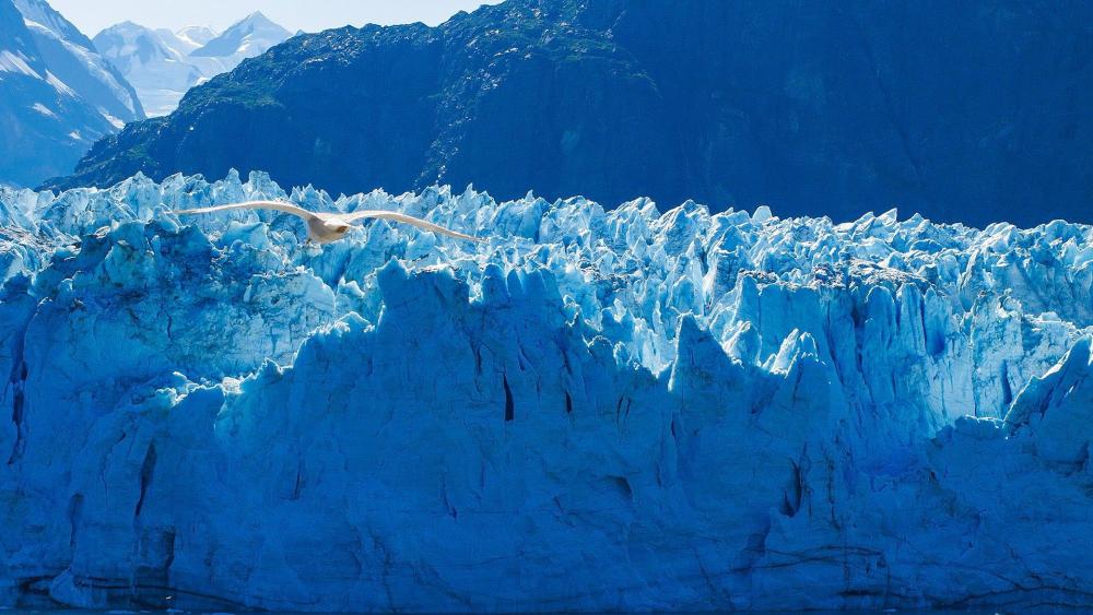 Wallpaper from nature category