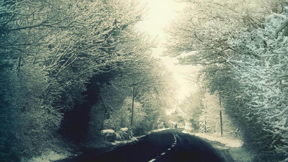 Serene Winter Road through Snowy Landscape wallpaper