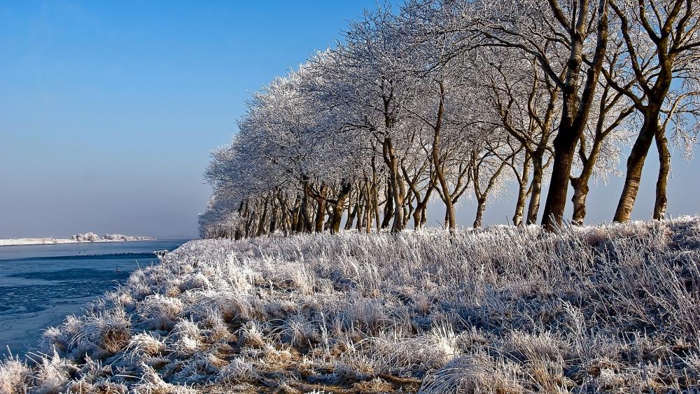Wallpaper from nature category