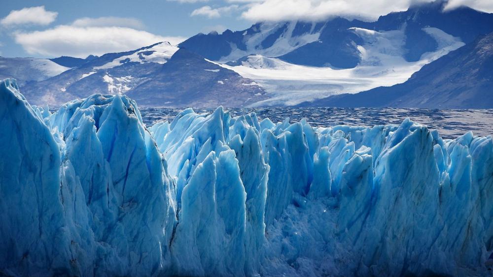 Majestic Icebergs Glimmering Under Sunlight wallpaper
