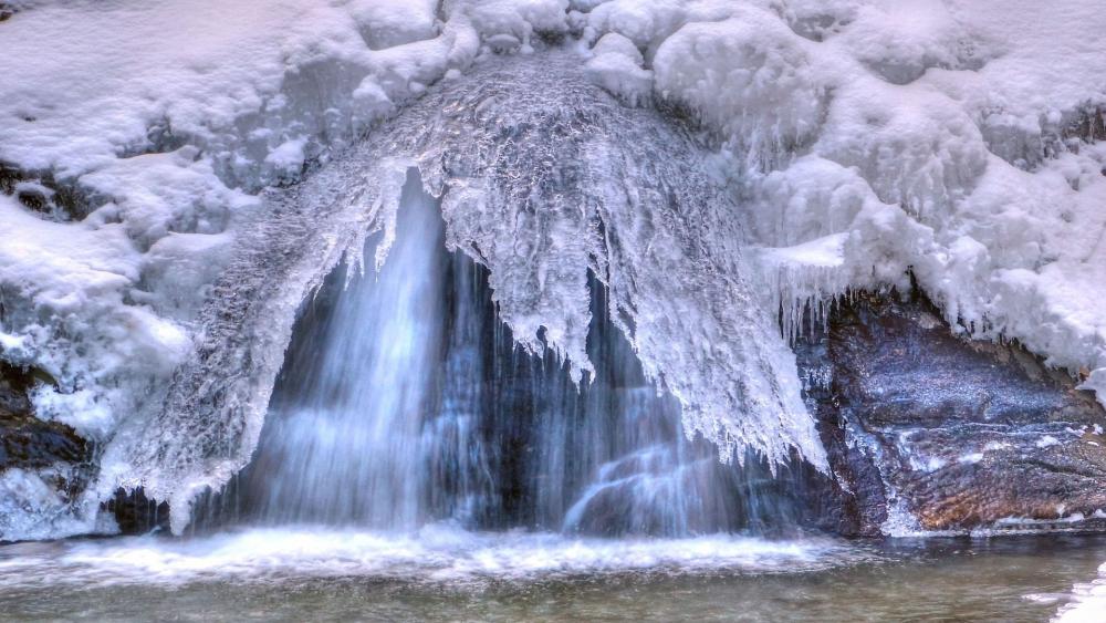 Wallpaper from nature category