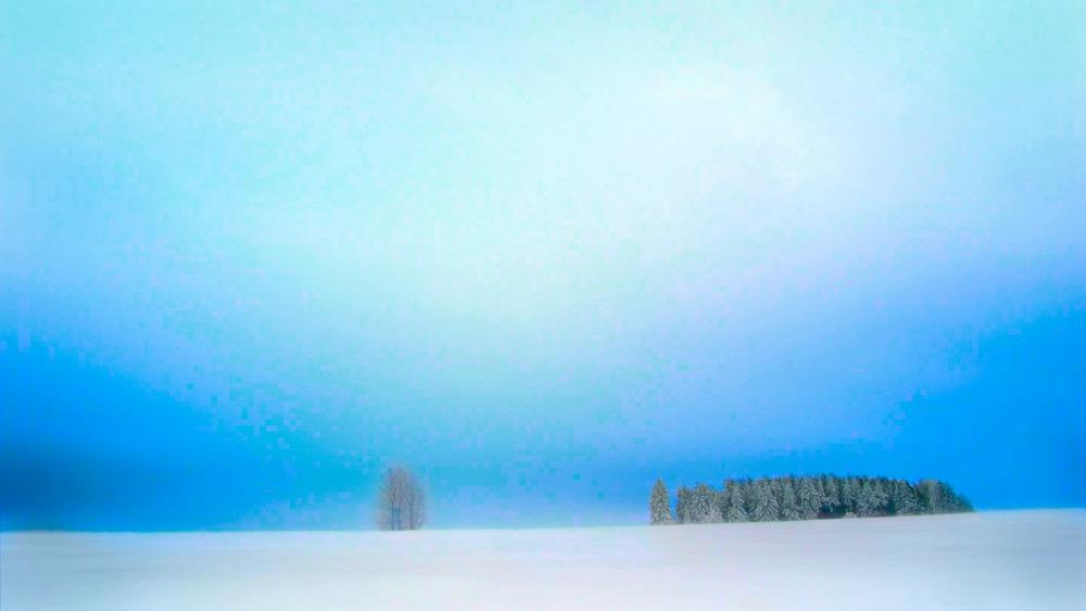 Wallpaper from nature category