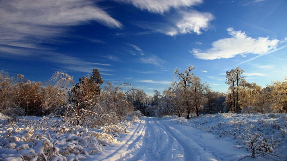 Wallpaper from nature category