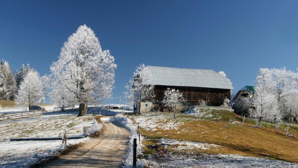 Winter Serenity in the Countryside wallpaper