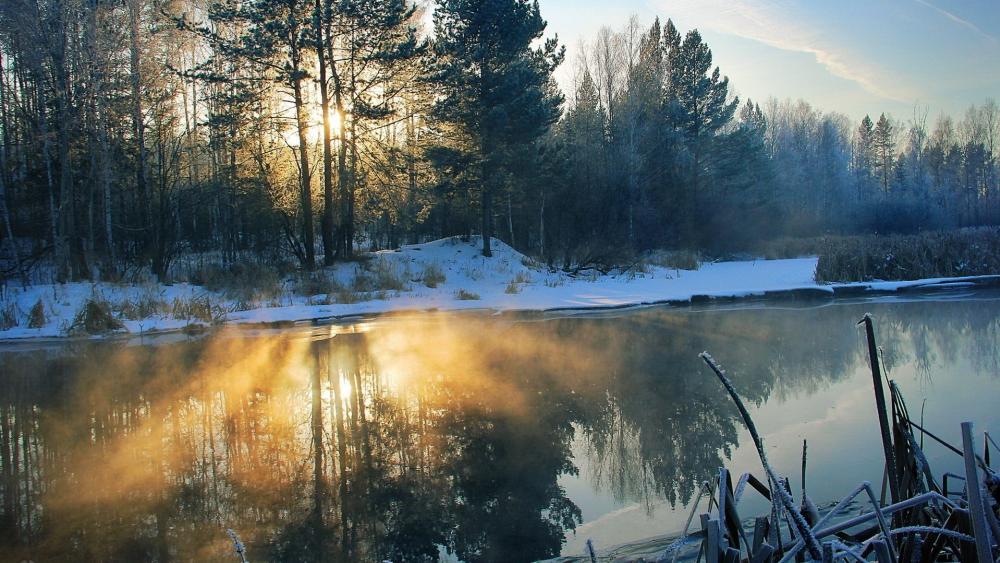 Serene Winter Reflection in Nature's Embrace wallpaper