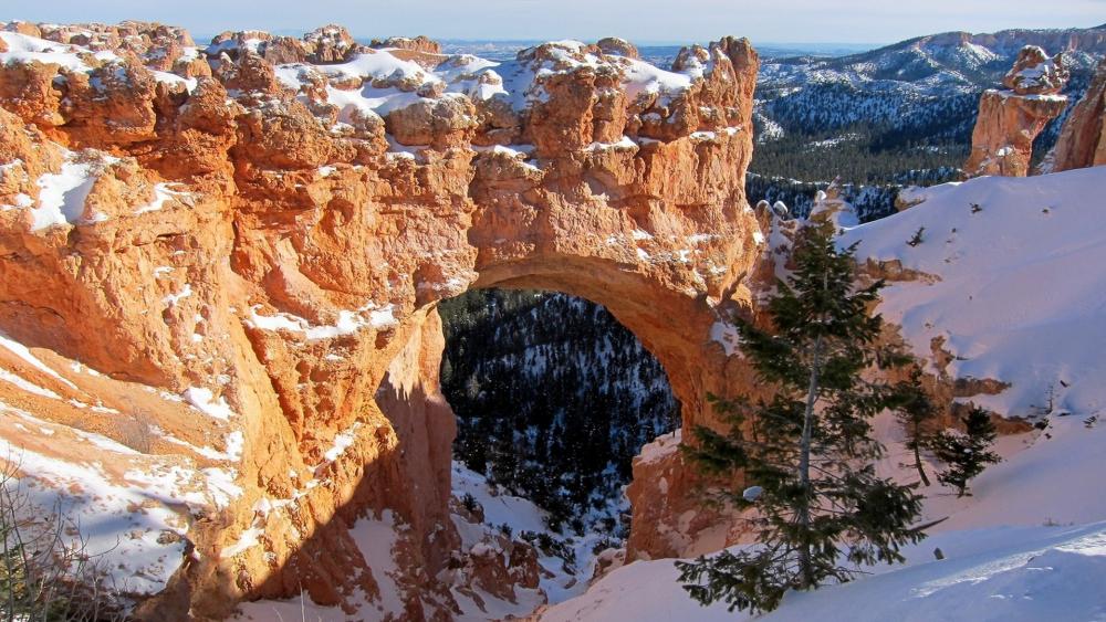 Majestic Winter Landscape at Bryce Canyon wallpaper