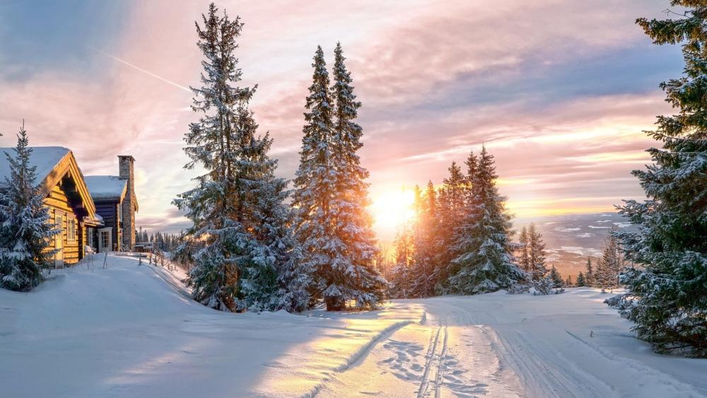 Winter Cabin Serenity Amidst Snowy Pines wallpaper