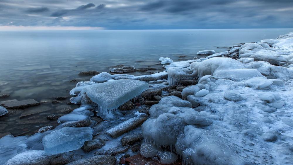 Frozen Serenity on the Shoreline wallpaper