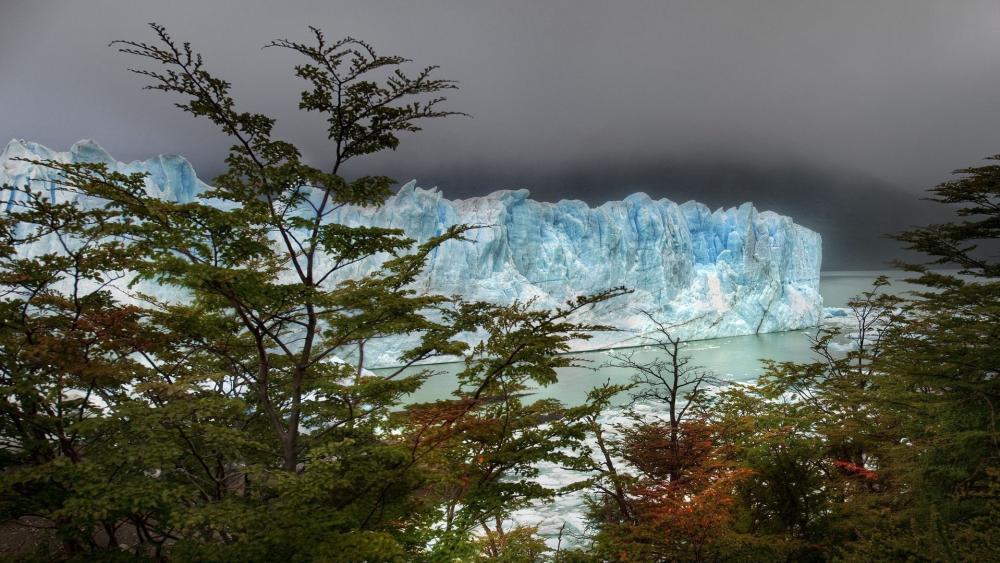Wallpaper from nature category