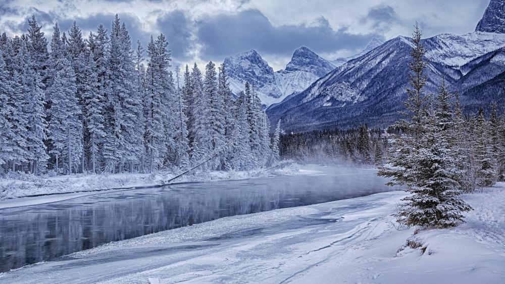 Wallpaper from nature category