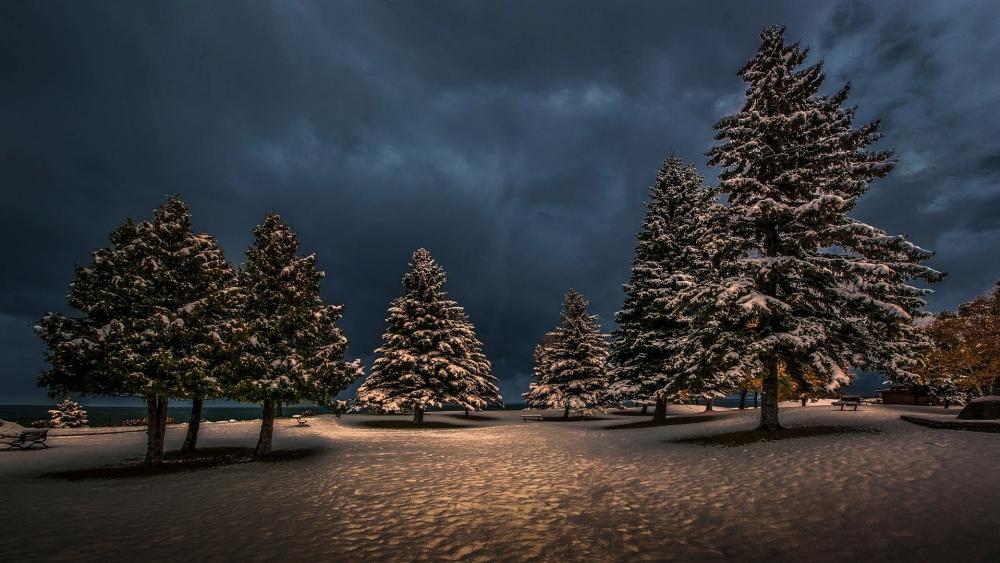 Tranquil Winter Wonderland Scene wallpaper