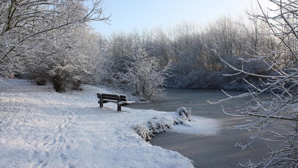 Winter Wonderland by the Frozen Lake wallpaper