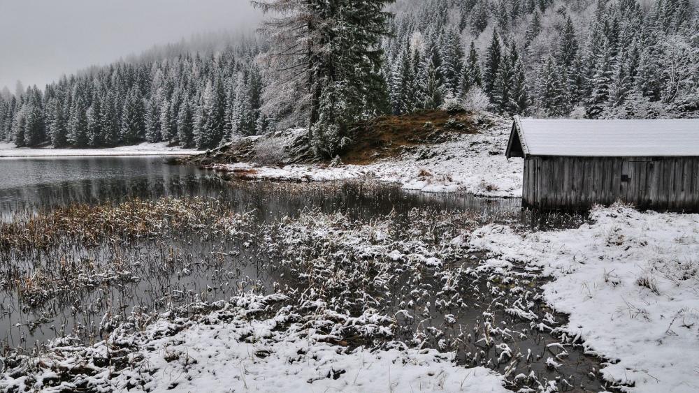 Winter Serenity by a Frosty Lake wallpaper