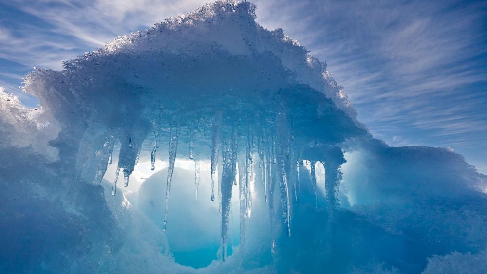 Frozen Wonders of Nature wallpaper